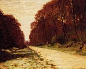 Road in a Forest